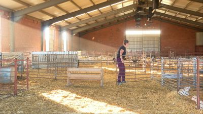 Más de la mitad de las nuevas incorporaciones al campo son mujeres.