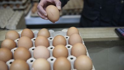 Huevos en una imagen de archivo.